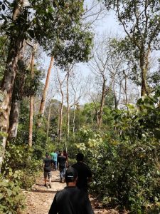 Exploring Lawachara forest