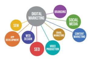 Digital Marketing Branches